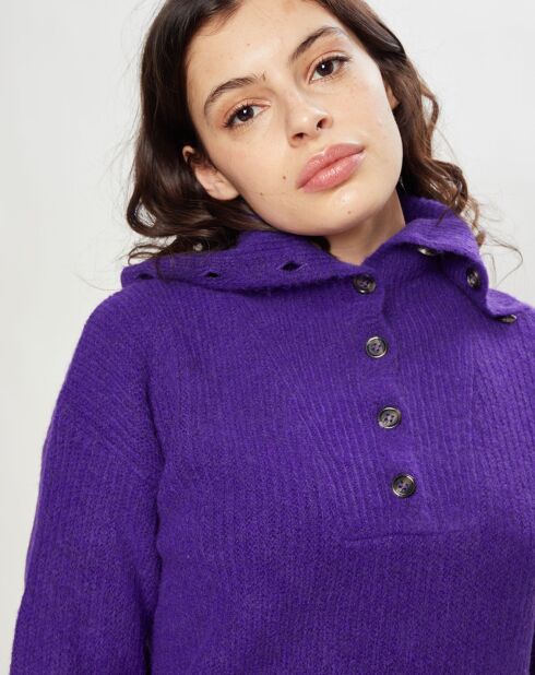 Pull en Laine mélangée Passion violet