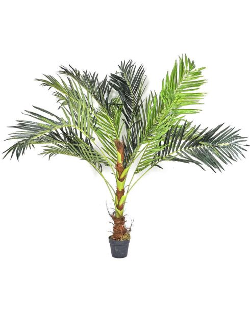 Plante artificielle Palmier vert/marron/noir - 55x135x60 cm