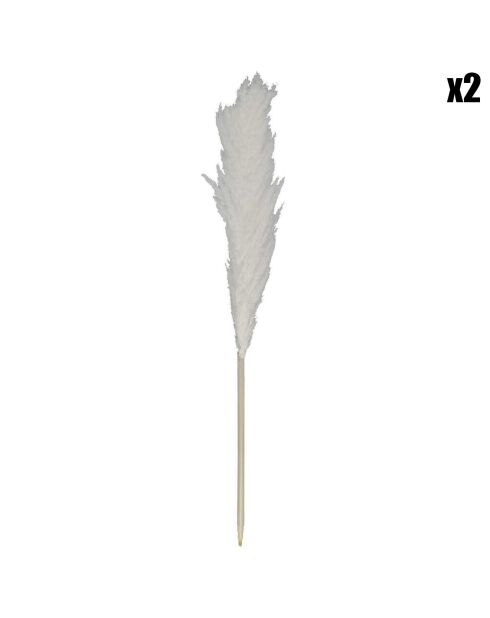 2 natuurlijke beige pampa's - 120 cm
