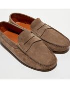 Mocassins en Velours de Cuir Martin taupe