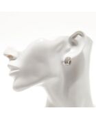 Anaidéia 1 karaat witgouden diamanten oorbellen