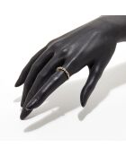 Aryaman Diamantring 0,07 Karat Gelbgold