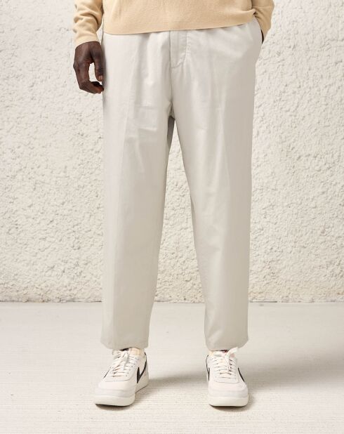 Pantalon en Coton Stanford gris perle