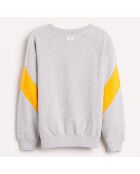 Sweat en Coton Firsty imprimé gris clair