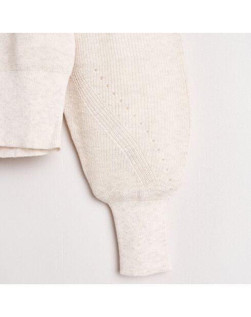 Pull en Coton mélangé Dutho beige clair