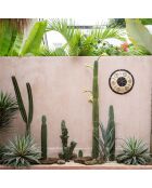 Cozumel zwart/bruin wandbord - D.50 cm