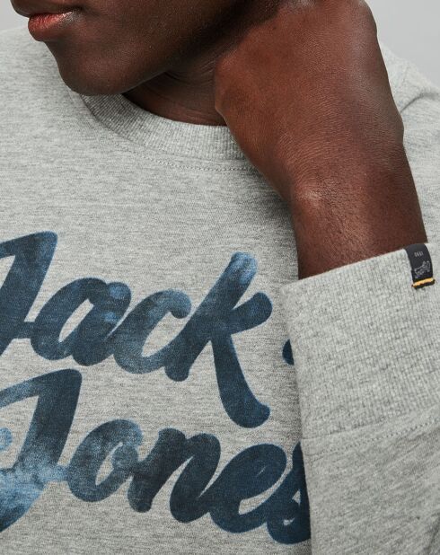 Sweat Orlevi Logo gris
