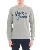 Sweat Orlevi Logo gris
