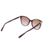 Lunettes de soleil Femme Le Pliage havane
