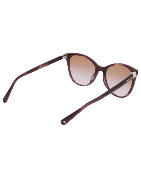 Lunettes de soleil Femme Le Pliage havane