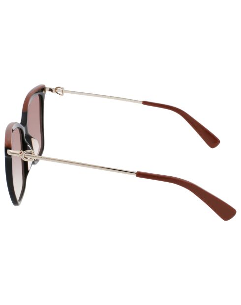 Lunettes de soleil Femme Amazone noir/marron