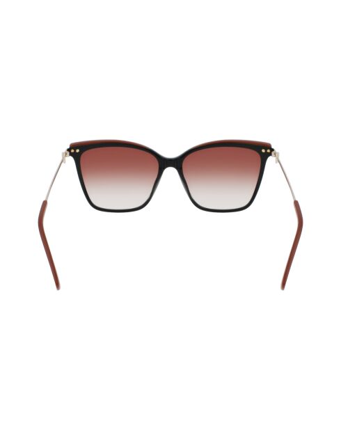 Lunettes de soleil Femme Amazone noir/marron
