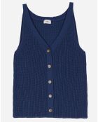 Pull Ledeb indigo