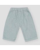 Pantaloni Jérome blu/grigi