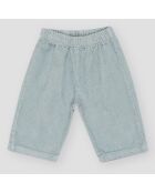 Pantaloni Jérome blu/grigi
