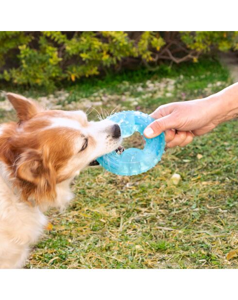 Jouet à mordre 2-en-1 congelable pour animaux de compagnie Glubiz  bleu  - D.12 cm