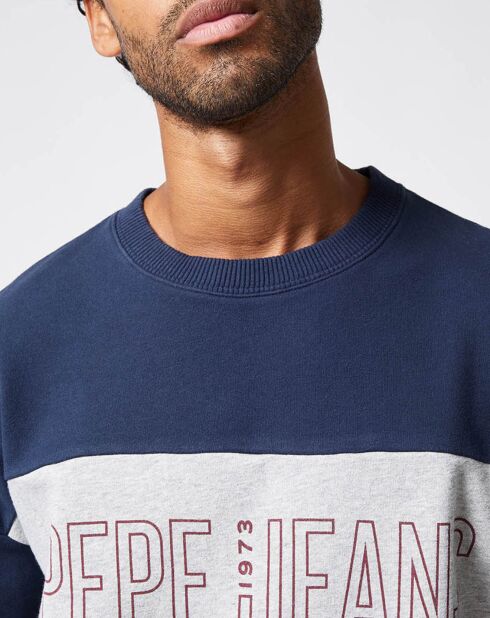 Sweat Ismael multicolore