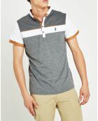Polo tricolor gris