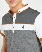 Polo tricolor gris