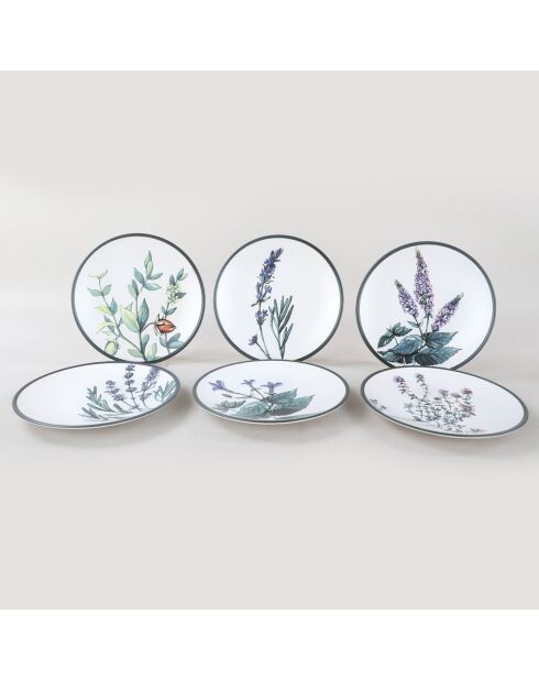 6 Assiettes à dessert en Grès multicolores - D.20 cm