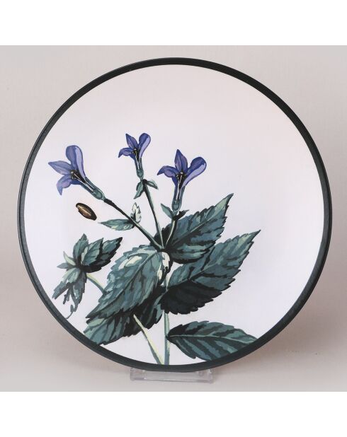 6 platos llanos de gres multicolor - D.25 cm