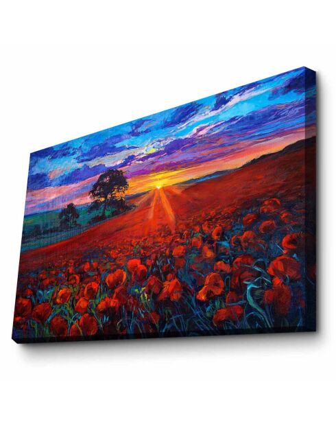 Peinture sur toile multicolore - 45x70 cm
