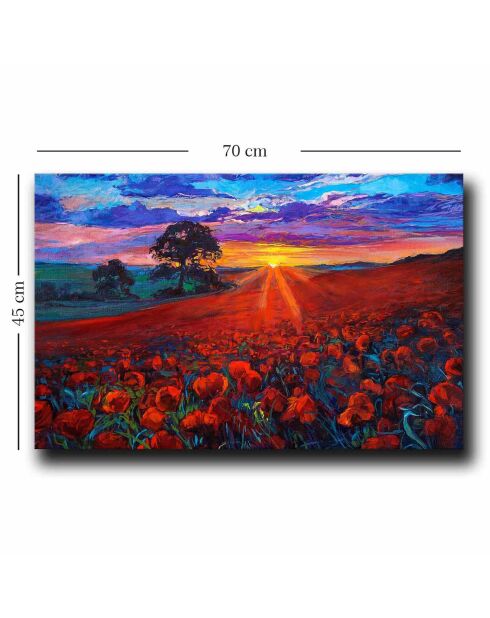 Peinture sur toile multicolore - 45x70 cm