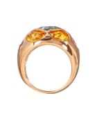 Springdome Brass ring verguld met fijn goud/veelkleurig goud