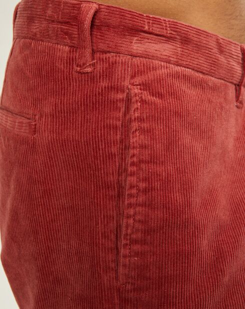 Pantalon chino regular en Velours côtelé rouge foncé