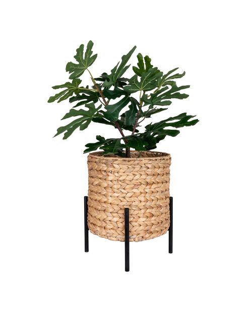 Jardinière jacinthe d'eau Antas naturel/noir