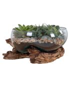 Goutte d'eau en teck et verre San Marino naturel - 26x26x20 cm