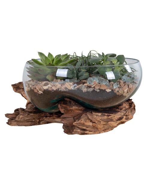 Goutte d'eau en teck et verre San Marino naturel - 26x26x20 cm