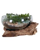 Goutte d'eau en teck et verre San Marino naturel - 26x26x20 cm