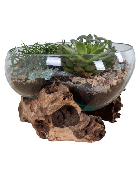 Goutte d'eau en teck et verre San Marino naturel - 26x26x20 cm