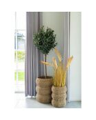 2 cestas de pastos marinos naturales Sarbas