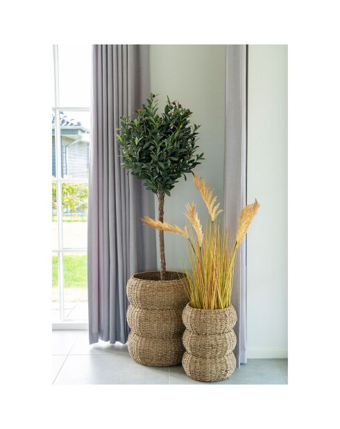 2 cestas de pastos marinos naturales Sarbas