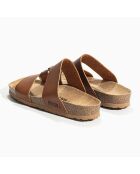Mules Navia camel