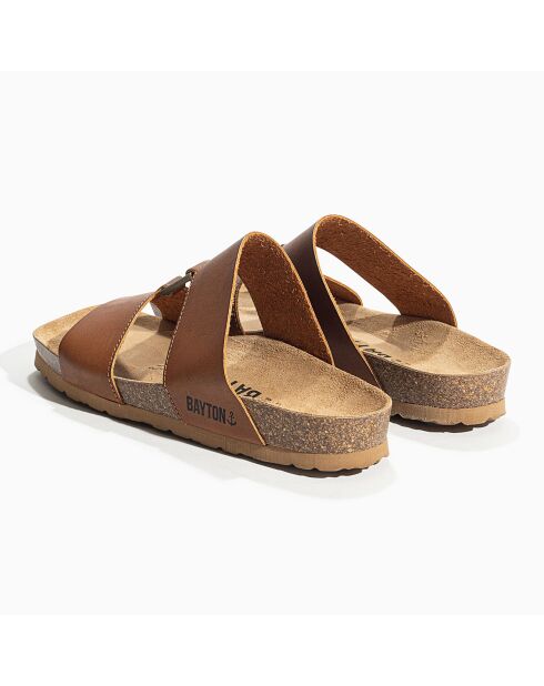 Mules Navia camel