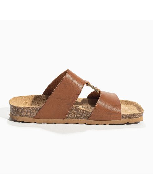 Mules Navia camel
