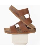 Mules Navia camel