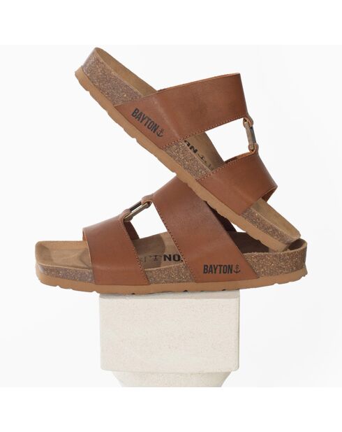 Mules Navia camel