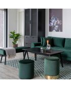 Banc en velours Skiby vert - 35x100x44 cm