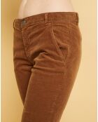 Pantalon chino Natural Tess toffee