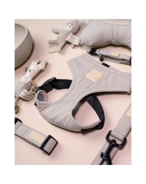 Harnais Life beige