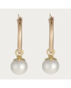 Boucles d'oreilles Isla Perla or jaune