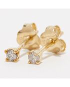 Boucles d'oreilles Ilaria Diamants 0.07 ct or jaune