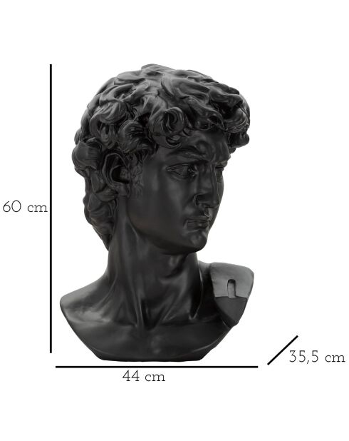 Sculpture tête antique noire - 44x35.5x60 cm