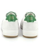 Sneakers Arri blanc/vert