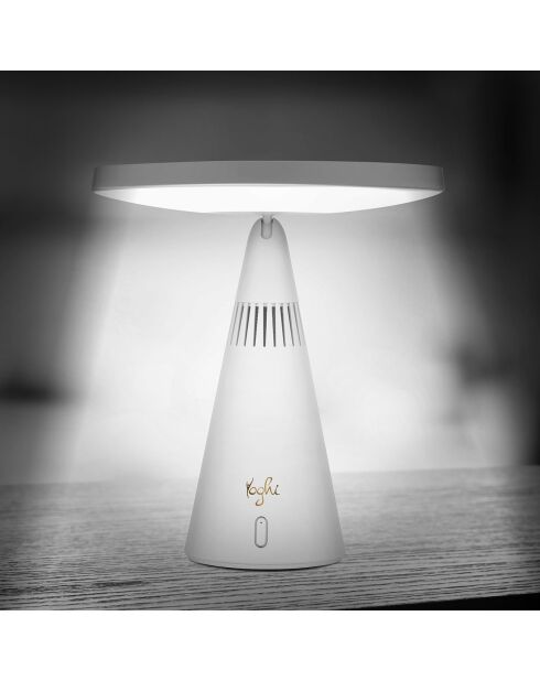 Miroir avec LED blanc - D.23 cm