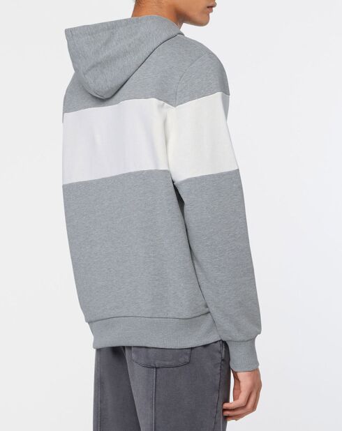 Sweat hoodie Musa en Coton bicolore gris/blanc